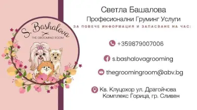 S.Bashalova The Grooming room