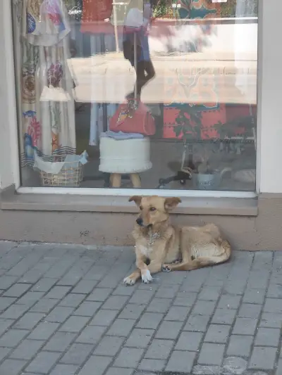 Корсо Италия