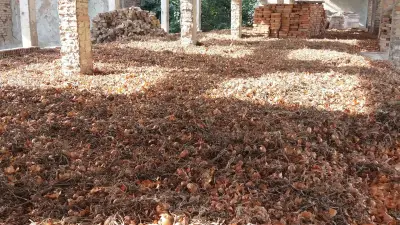 Автогара Нови пазар