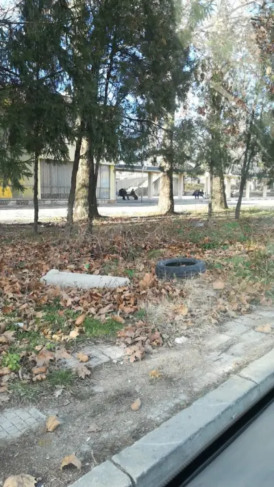 Автогара Нови пазар