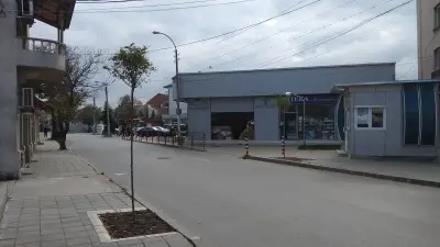 Вилтон Каргон
