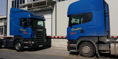 Dorotea Sped LTD