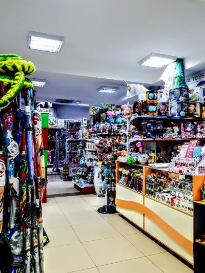 Raya Toys