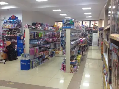 Raya Toys