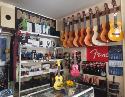 Музикален магазин IBL music