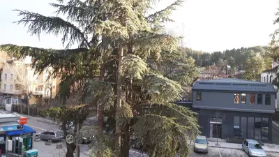 Комплекс Белвю - Банкя