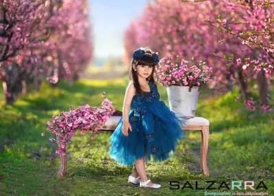 SALZARRA