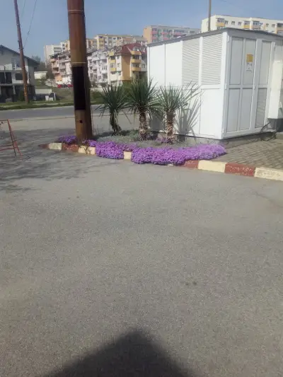 EKO