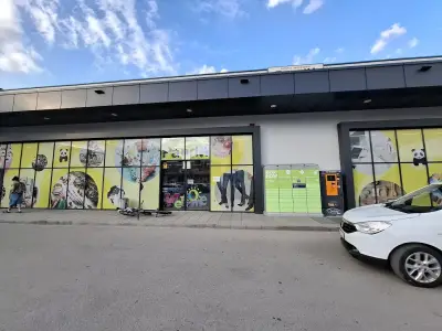 Панда