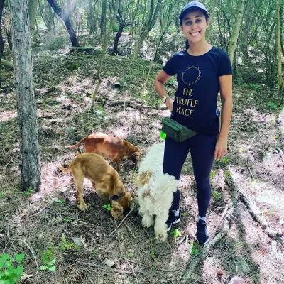 The Truffle Place Forest