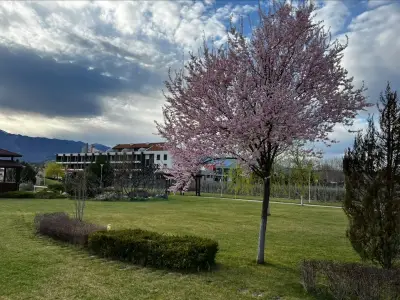 Uva Nestum Wine & SPA