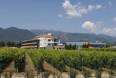 Uva Nestum Wine & SPA
