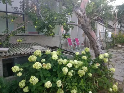Паралакс Хотел