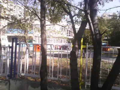 ДГ 169 Коледарче