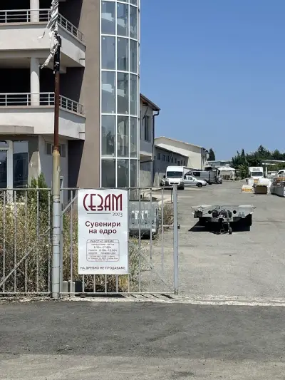 СЕЗАМ 2003