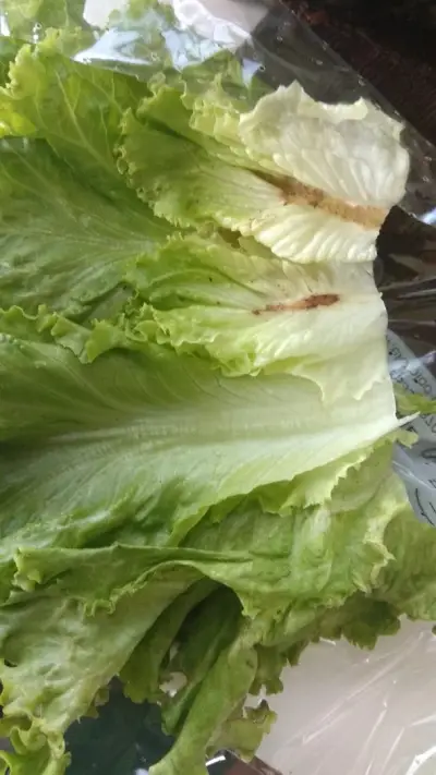 T MARKET