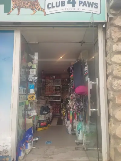 Багира 2