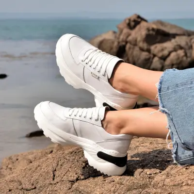 Tintishoes