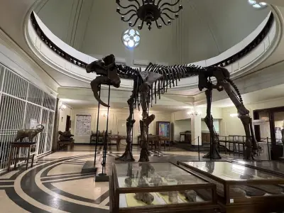 Музей по палеонтология и исторична геология