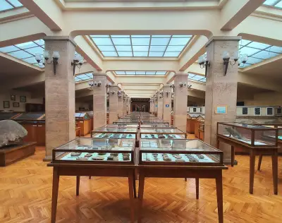 Музей по палеонтология и исторична геология