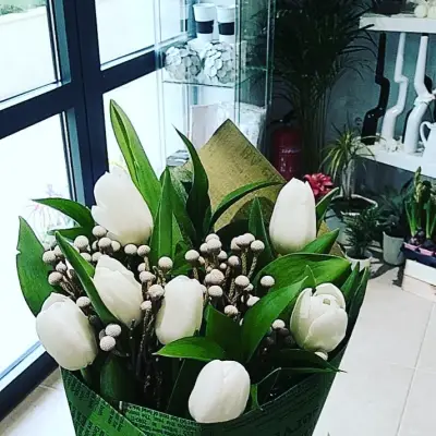 Magnolia Flowers