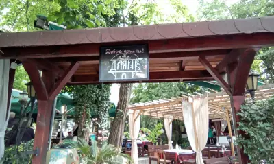 Даяна-1