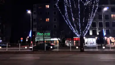 Явлена Варна