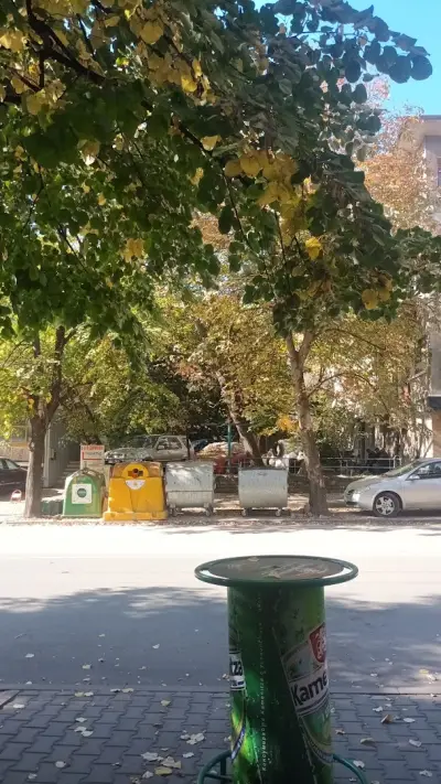 ИПСМП Д-Р ВЕСЕЛИНА ДИМОВА
