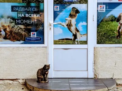 Ветеринарна клиника Д-р Антов