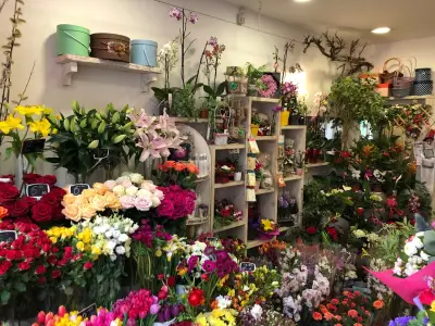 Vessi's Flowers Sofia Ovcha Kupel