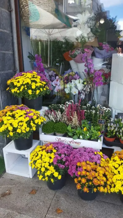 Vessi's Flowers Sofia Ovcha Kupel
