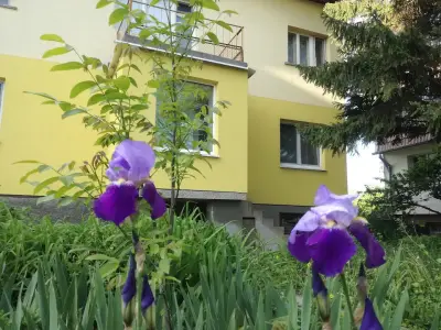 Стаи за гости "Дом Градина Вита" / Guest Rooms “House Vita Garden”