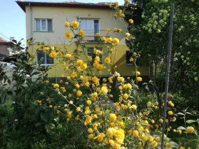 Стаи за гости "Дом Градина Вита" / Guest Rooms “House Vita Garden”