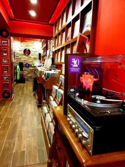 Vinyl Home Varna