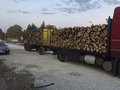 СКЛАД ЗА ДЪРВА БАЛКАНЛЕС-85 ЕООД