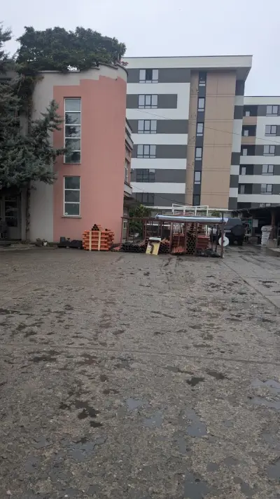 ЕЛБО - ЕЛИЗА БОРИСОВА