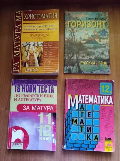 Борсата