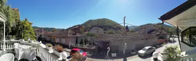 Черното лале