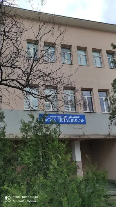 Основно училище "Васил Петлешков"