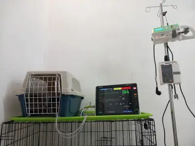 Ветеринарна клиника -Ескулап/Veterinary Clinic for Emergency Medicine