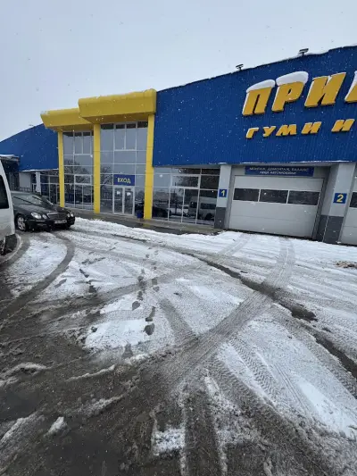 Примекс