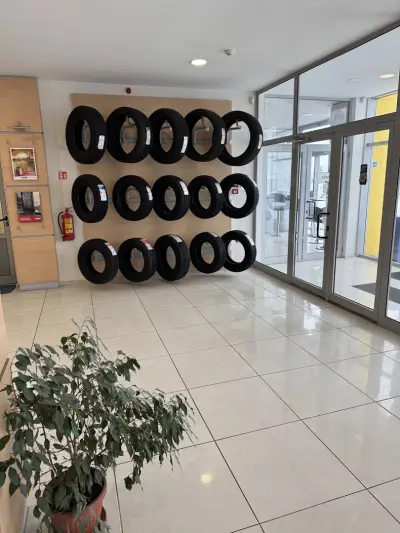 Примекс