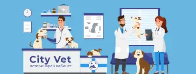 Ветеринарен кабинет "City vet"