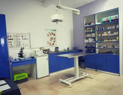 Ветеринарен кабинет "City vet"