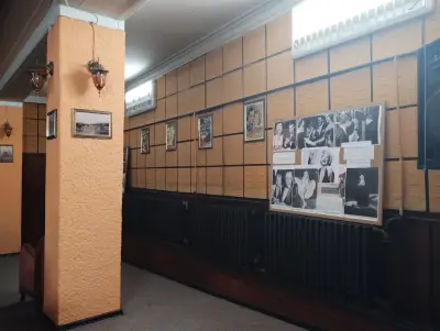 Кино „Влайкова“
