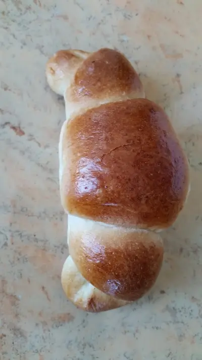 ДИМИТЪР БАКАЛОВ