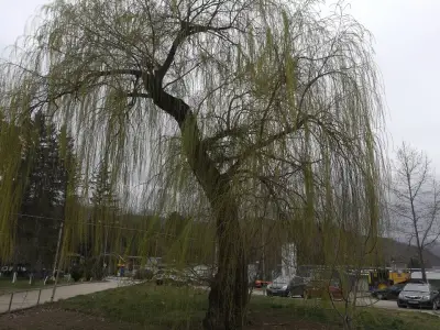 БАЛКАН