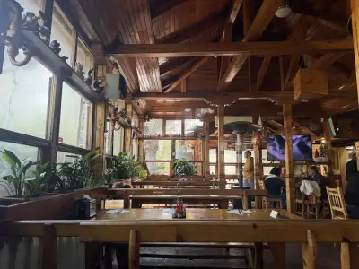 Контеса