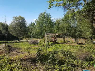 Бонго парк