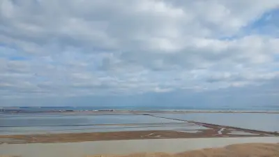 симБиотично